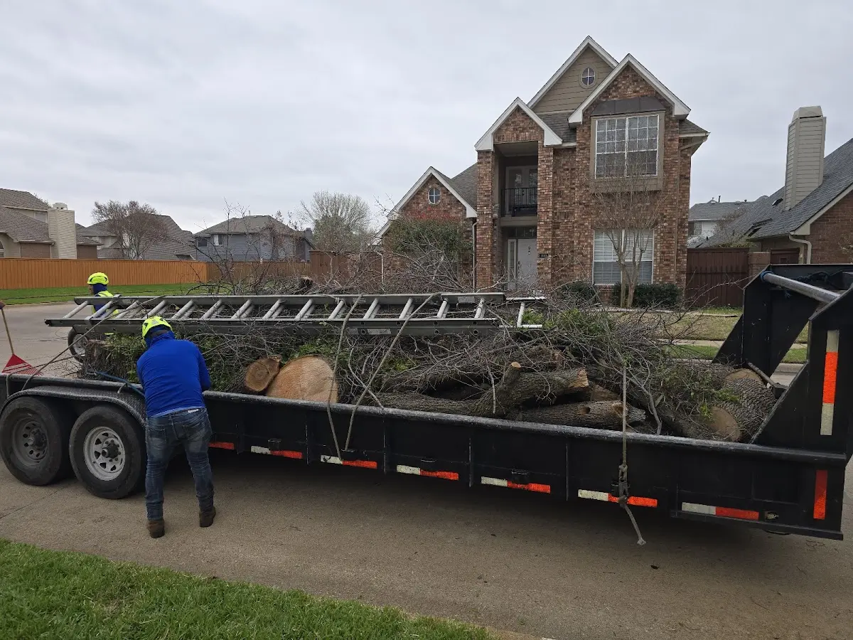 Expert Tree Pest Control with proper safety equipment in Little Cedar